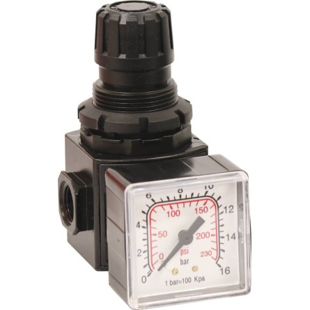 Régulateur à air femelle 1 4" avec manomètre