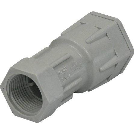 Crépine clapet anti-retour 1"