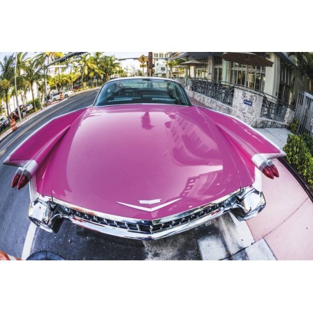 Polish écologique - flacon spray de 500ml