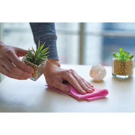 Désinfectant et nettoyant multi-surfaces virucide parfum menthe - flacon spray de 750ml