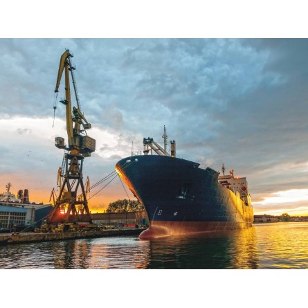 Graisse marine avec tête 2 jets - aérosol 400ml