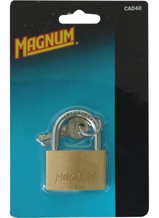 Cadenas corps laiton 40mm anse acier 2 clés - blister