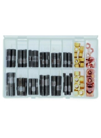 Kit de goujons et d'écrous de collecteur, M8, M10, 100 pièces